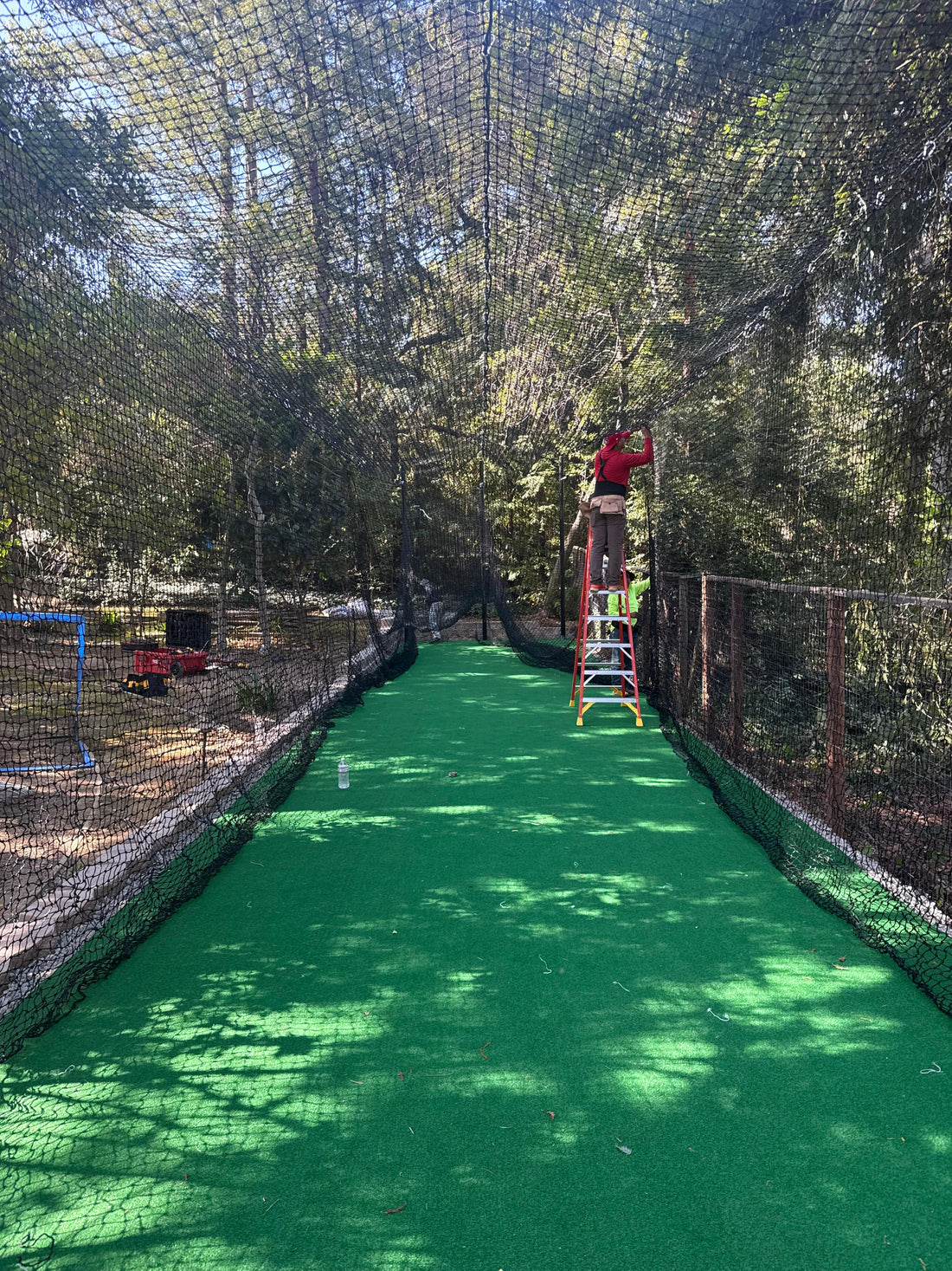 batting cage for backyard