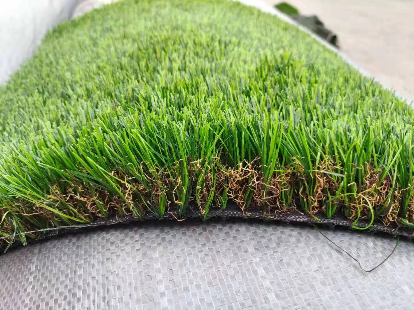 turf for home lawns