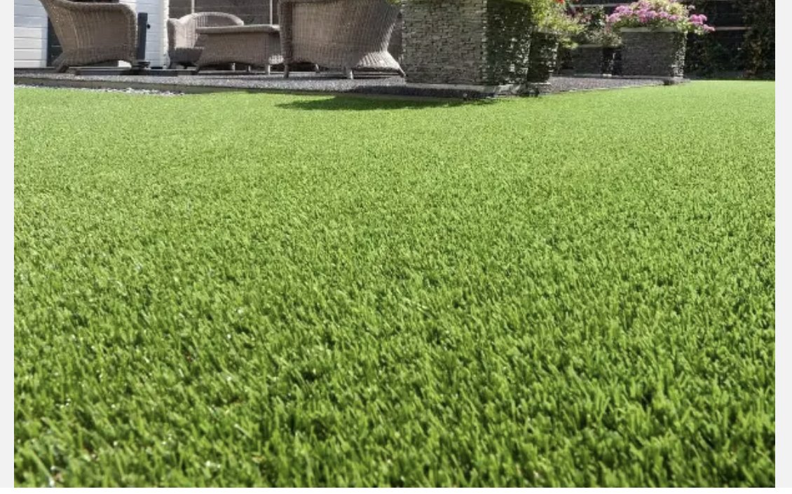 lawn turf for sale